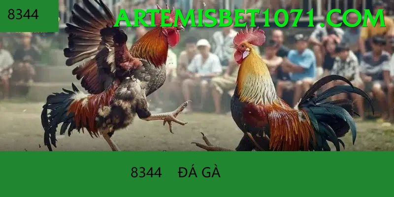 Đá Gà Trực Tiếp - BetVisa