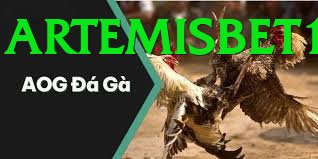 Cách Đọc Kèo Đá Gà